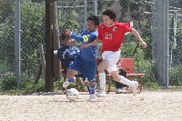 20100404_105