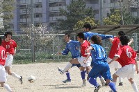 20100404_113