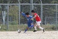 20100404_119